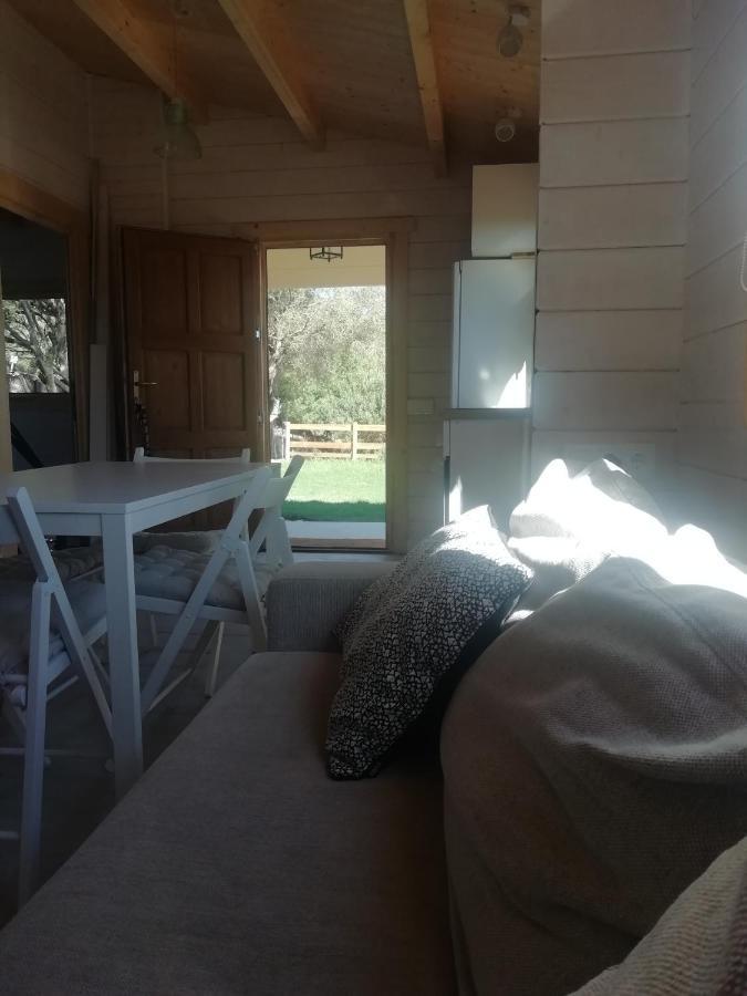 Appartement Woodhouse à Tarifa Extérieur photo